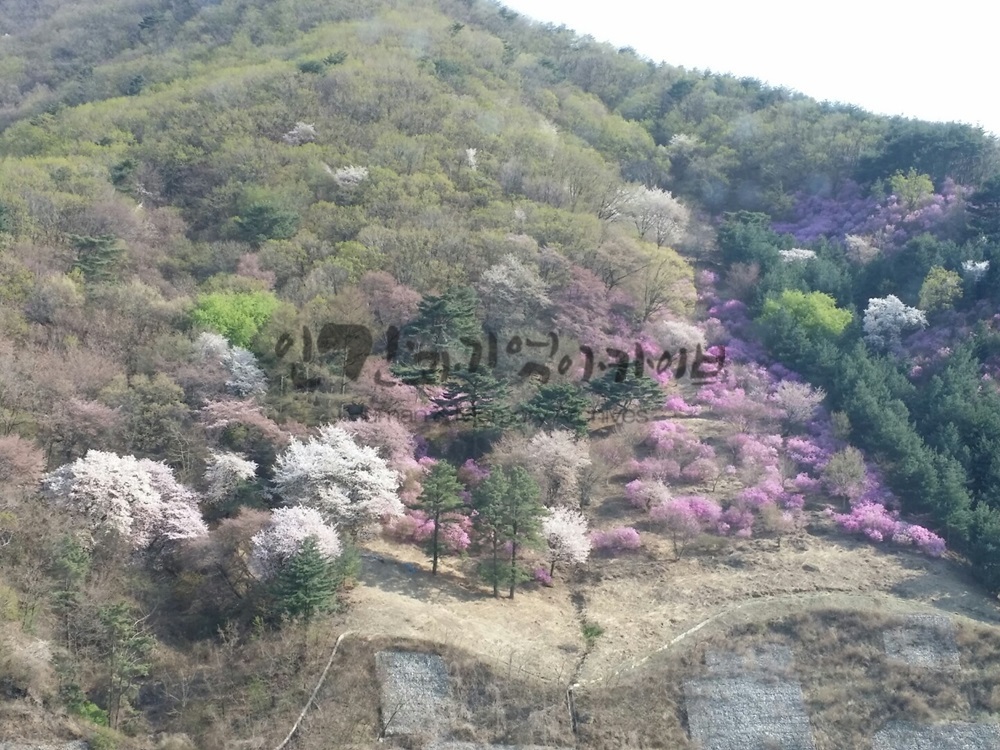 20160405_평낼동_아파트 베란다풍경.jpg