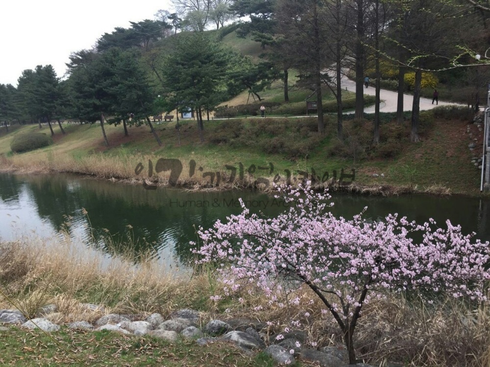 20160413_학여울역근처 양재천.jpg